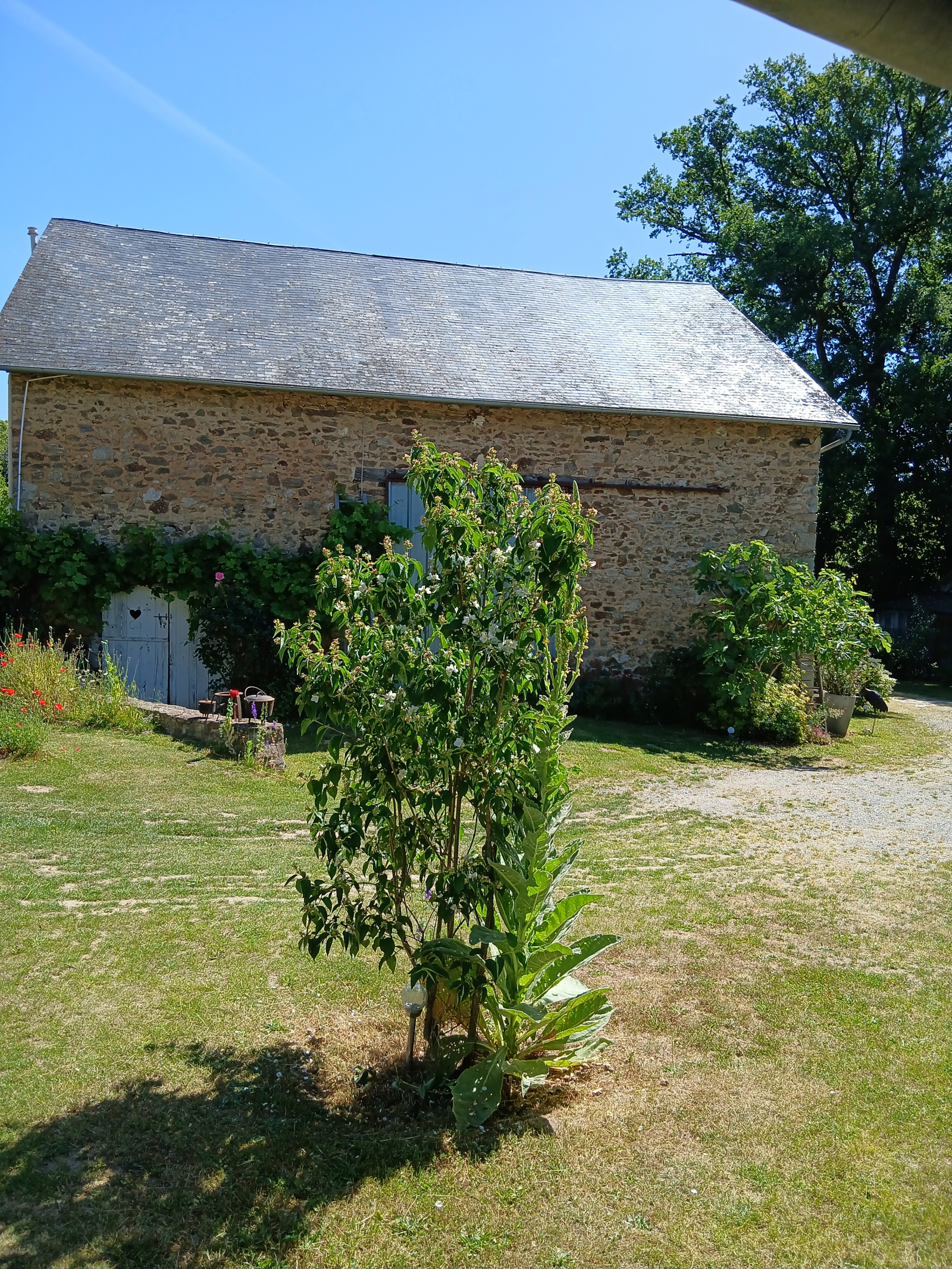 Image_22, Maison, La Croisille-sur-Briance, ref :JJ003