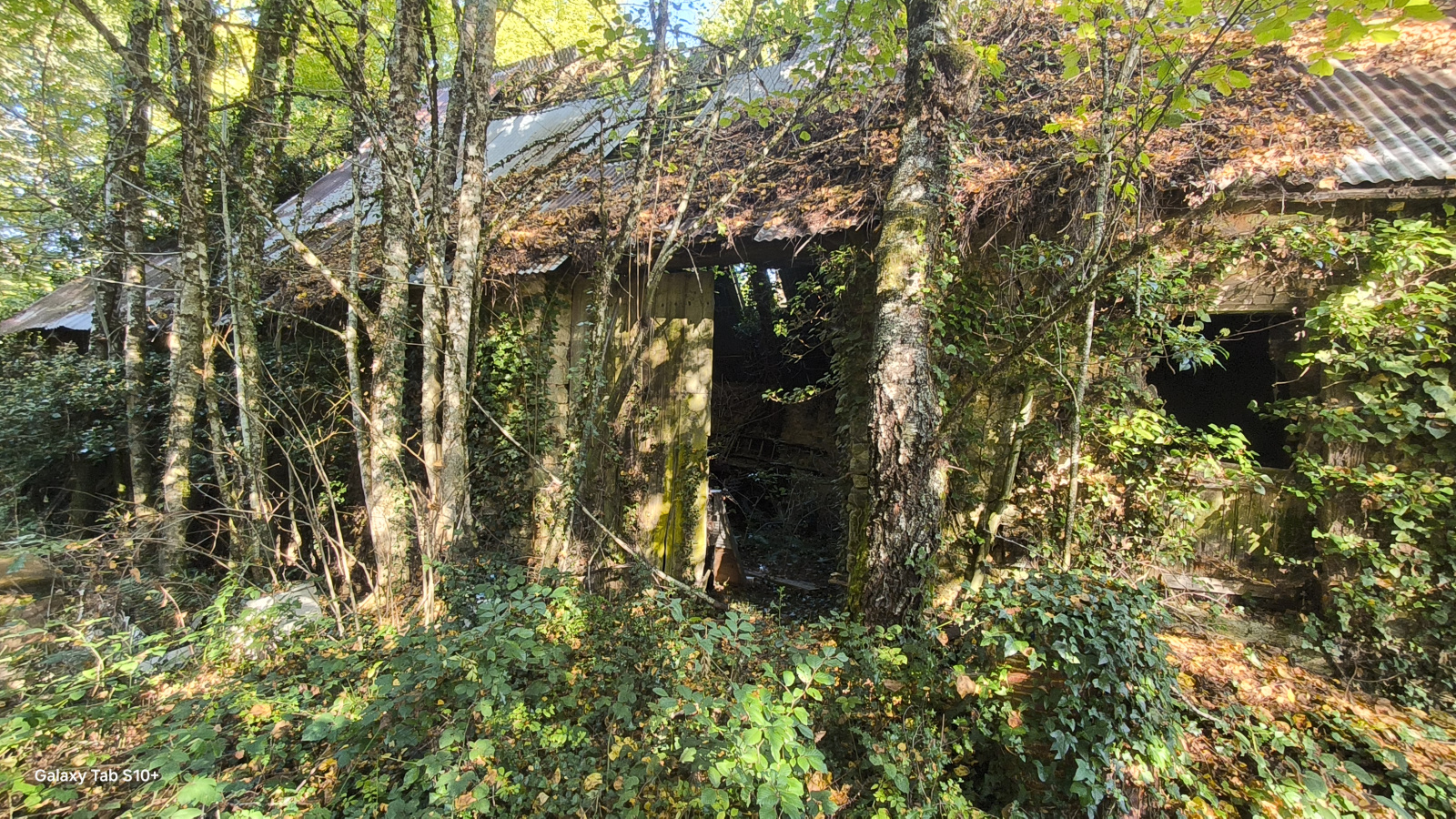 Image_2, Maison, La Croisille-sur-Briance, ref :AB009