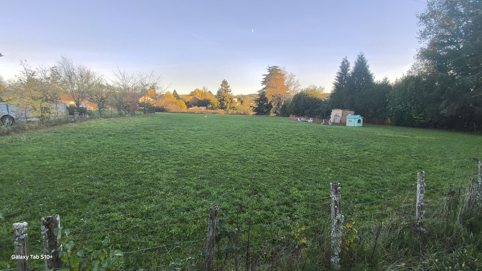 Image_2, Terrain, Neuvic-Entier, ref :F626