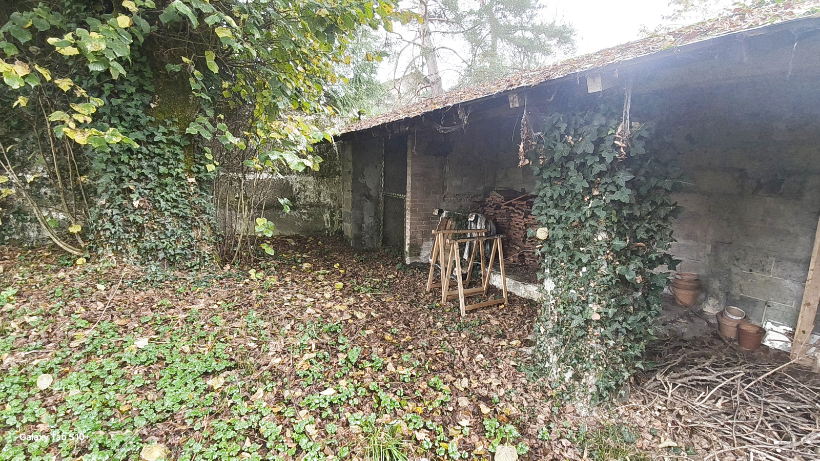 Image_18, Maison, Magnac-Bourg, ref :F625