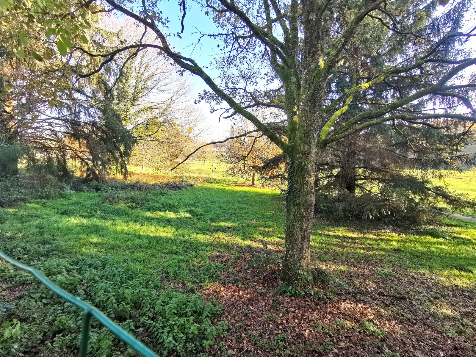 Image_19, Maison, Limoges, ref :AB012