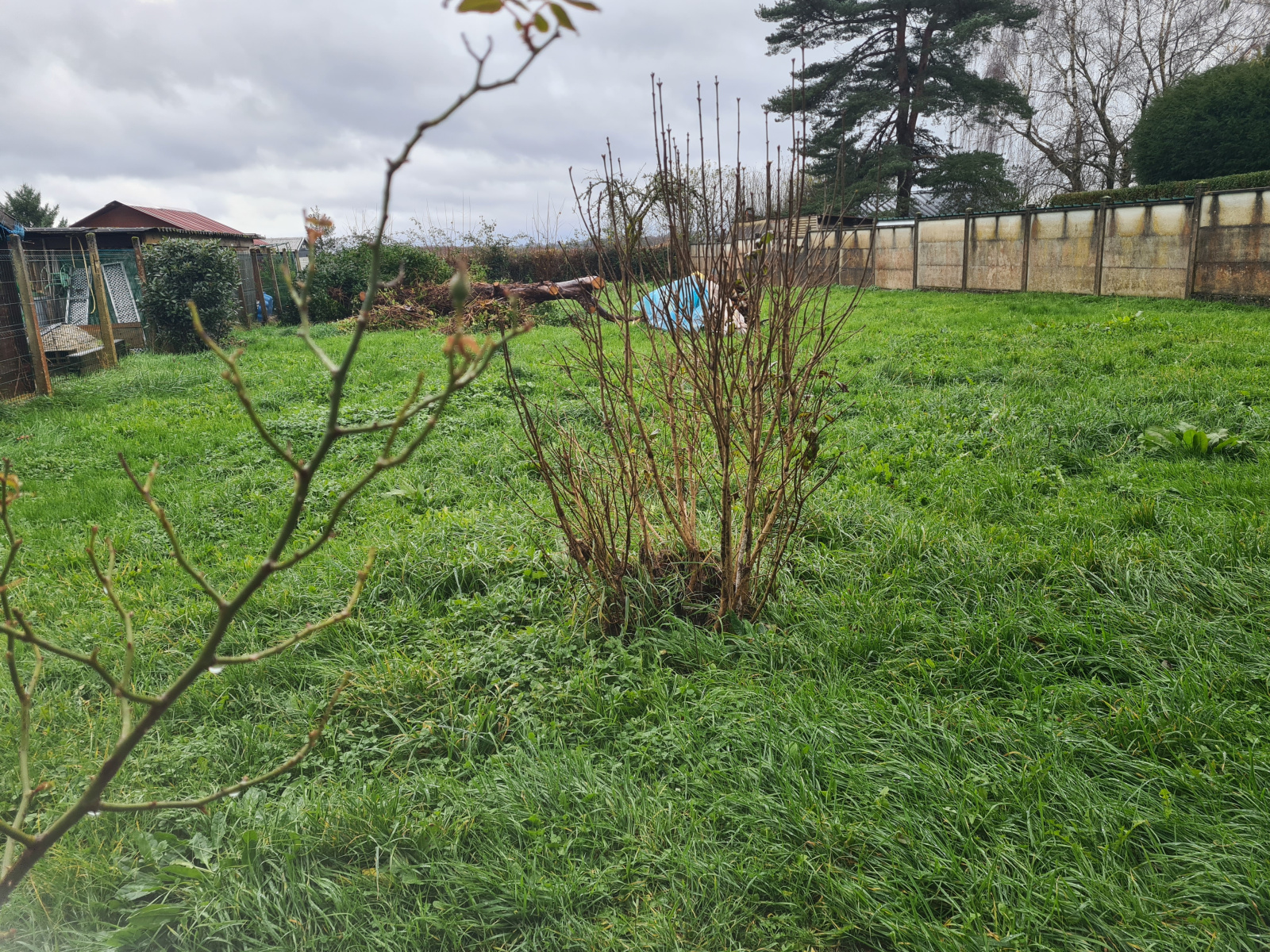 Image_12, Maison, La Porcherie, ref :c186