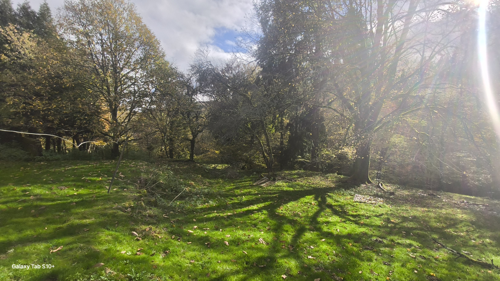 Image_32, Maison, Saint-Vitte-sur-Briance, ref :F627