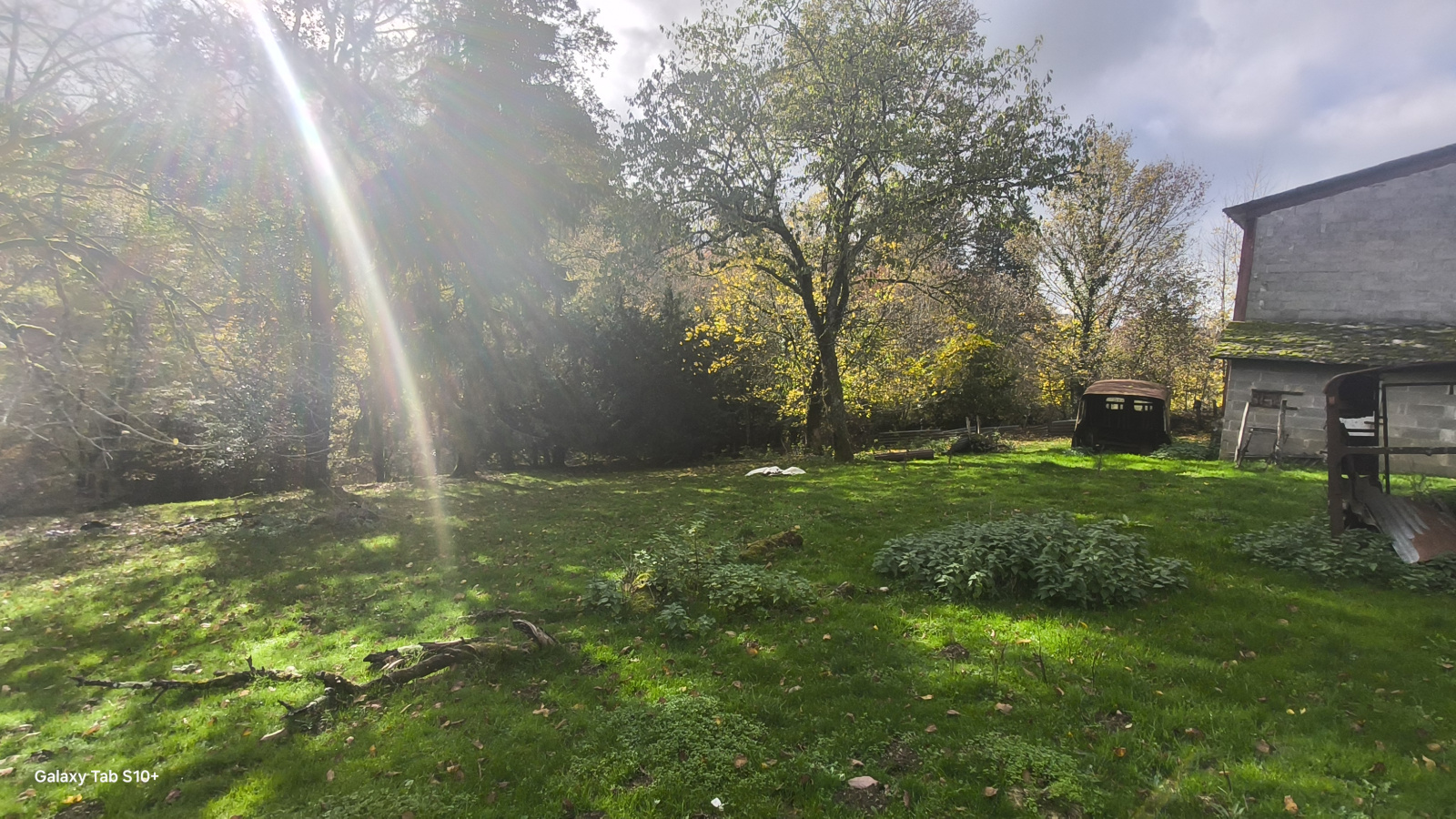 Image_31, Maison, Saint-Vitte-sur-Briance, ref :F627