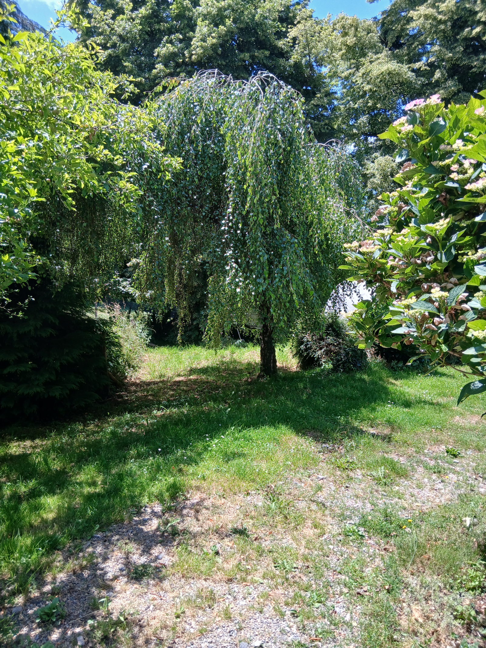 Image_6, Maison, La Croisille-sur-Briance, ref :JJ004