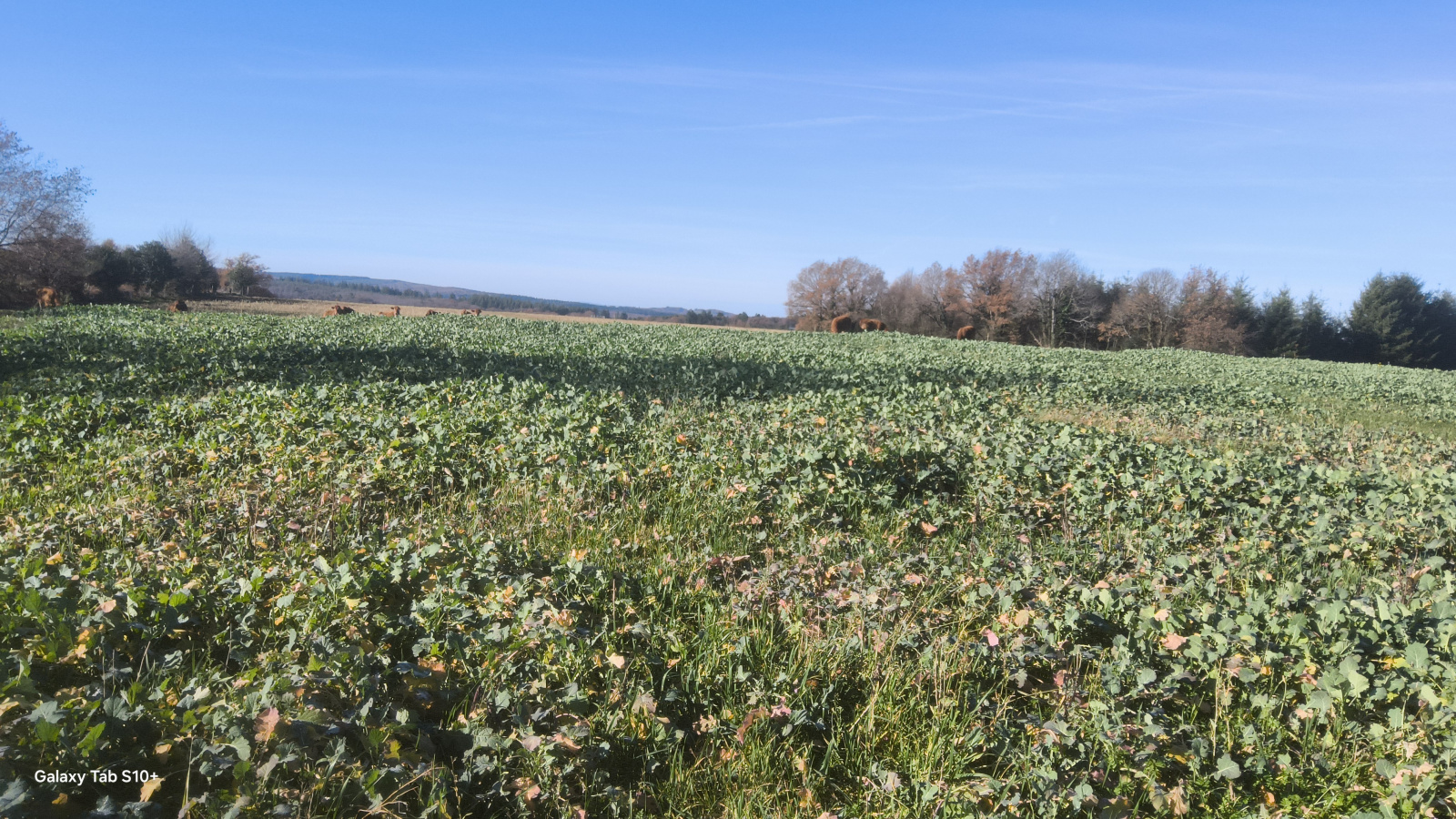 Image_17, Maison, Sainte-Anne-Saint-Priest, ref :F630