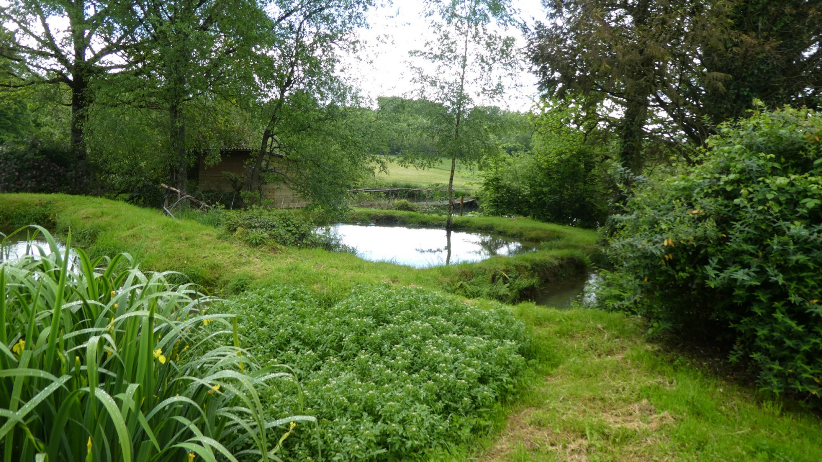 Image_22, Maison, La Croisille-sur-Briance, ref :F602