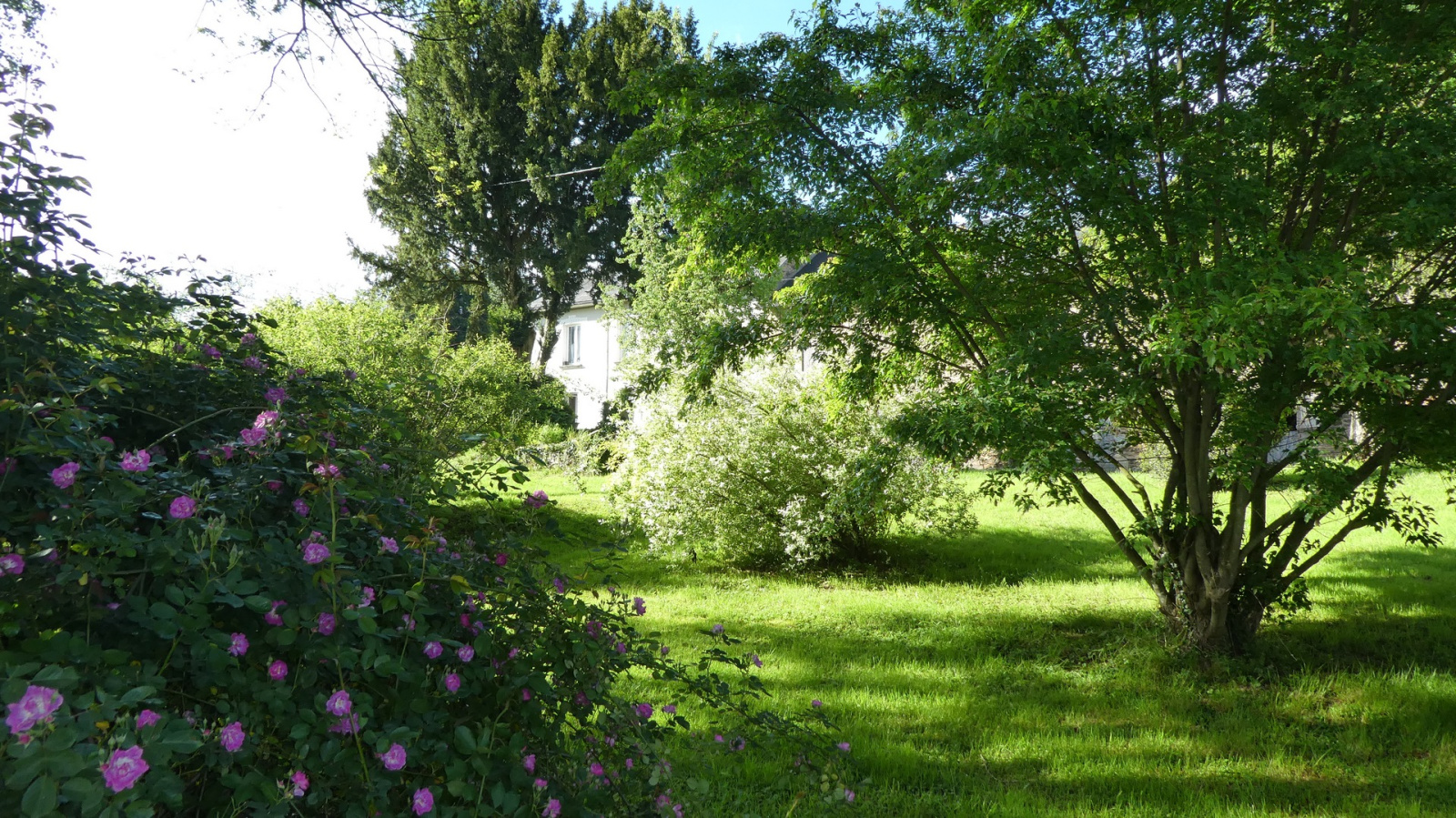 Image_3, Maison, La Croisille-sur-Briance, ref :F602