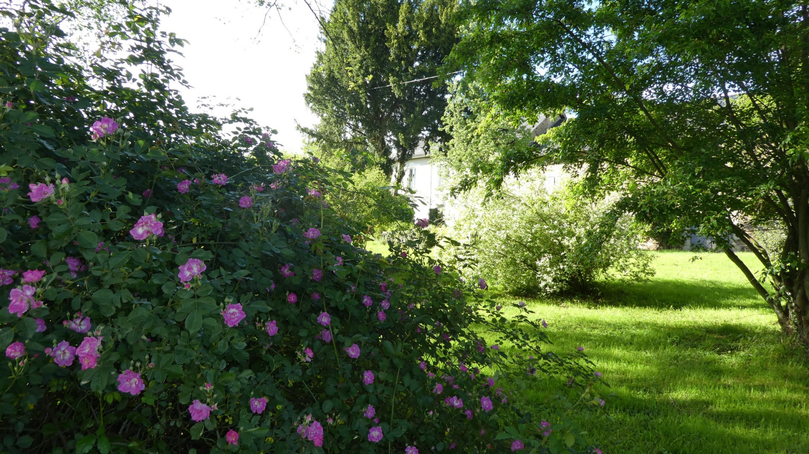 Image_21, Maison, La Croisille-sur-Briance, ref :F602