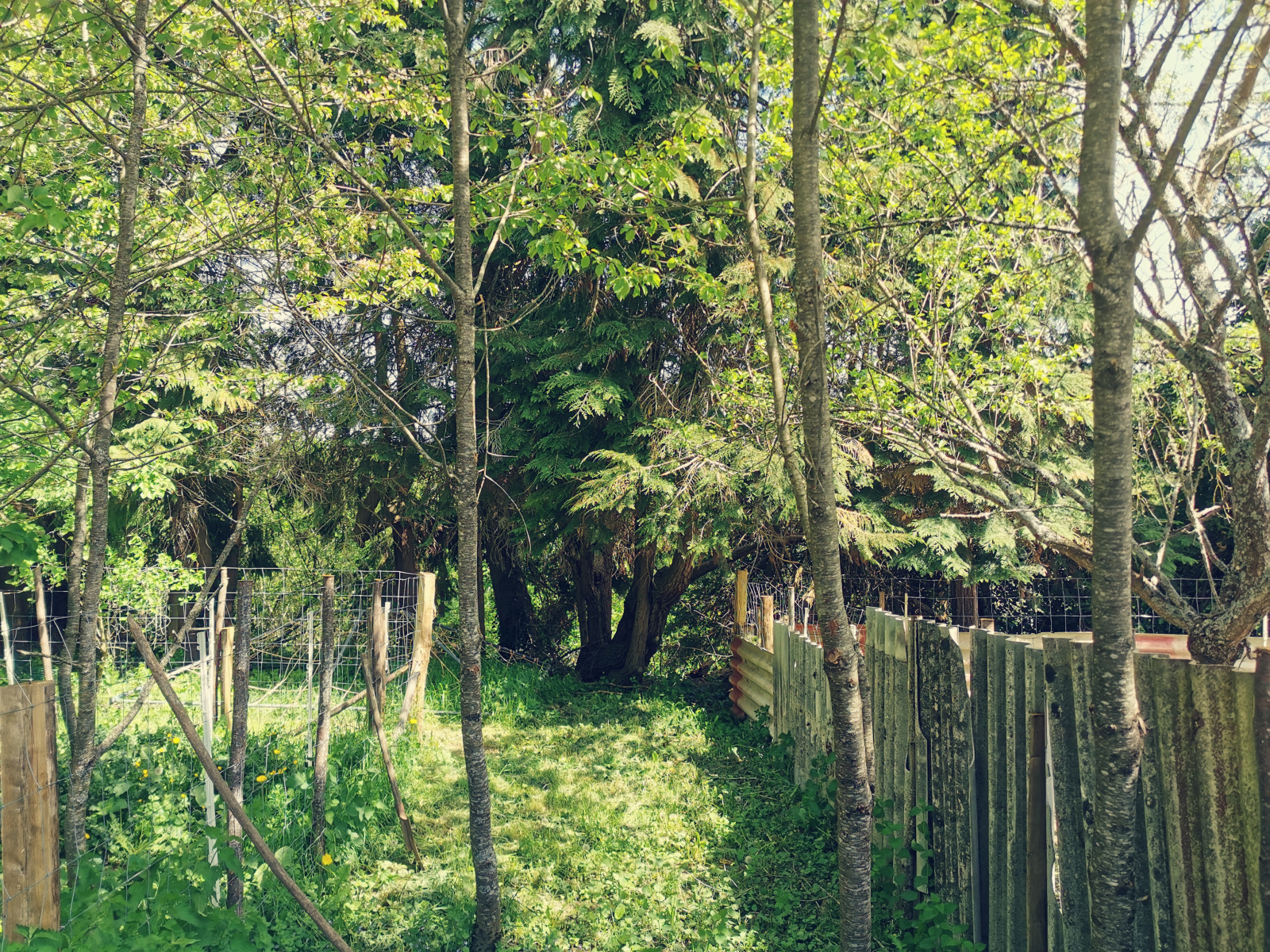 Image_6, Maison, Cars, ref :AB015