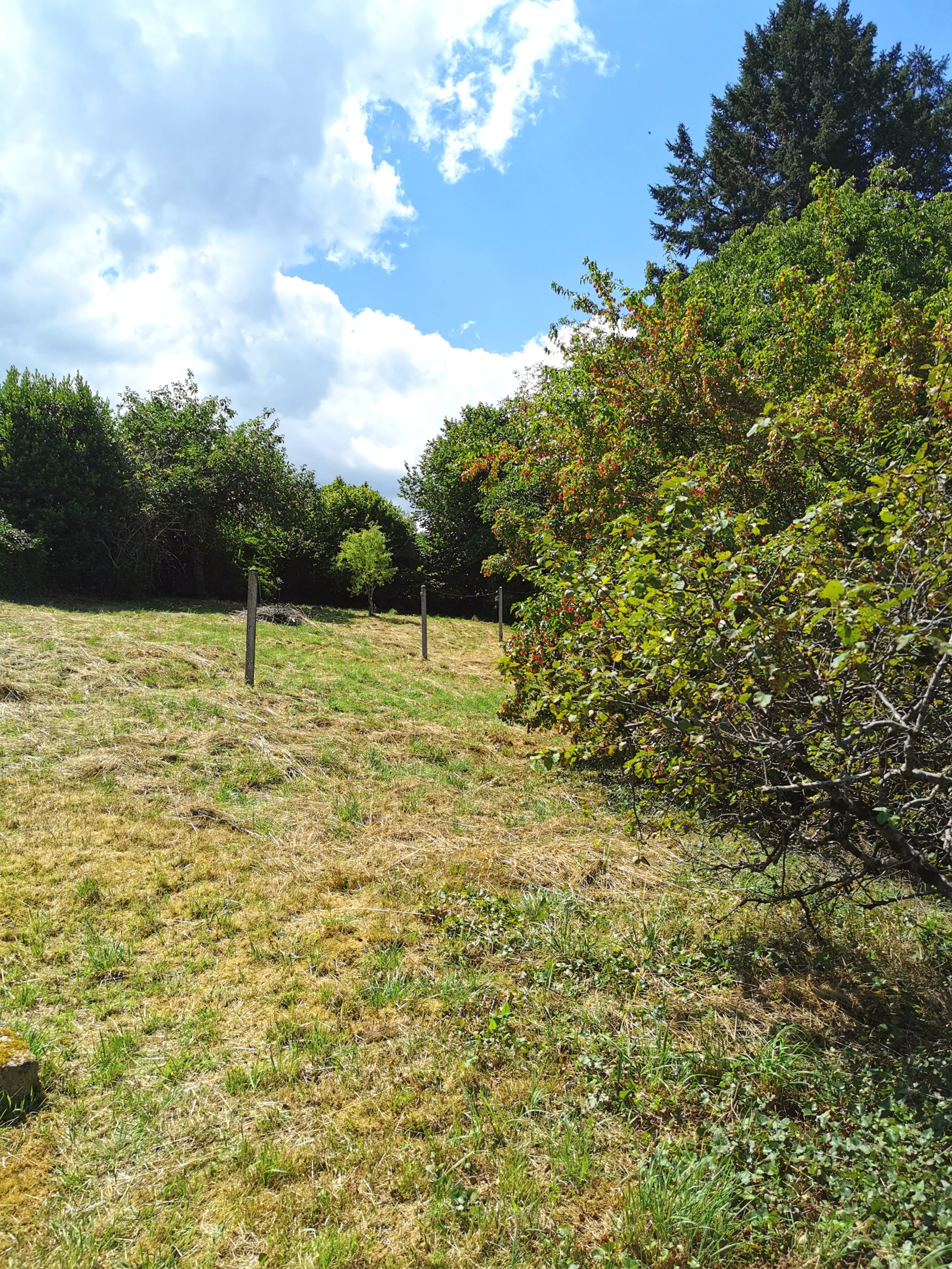 Image_3, Maison, Saint-Denis-des-Murs, ref :A005