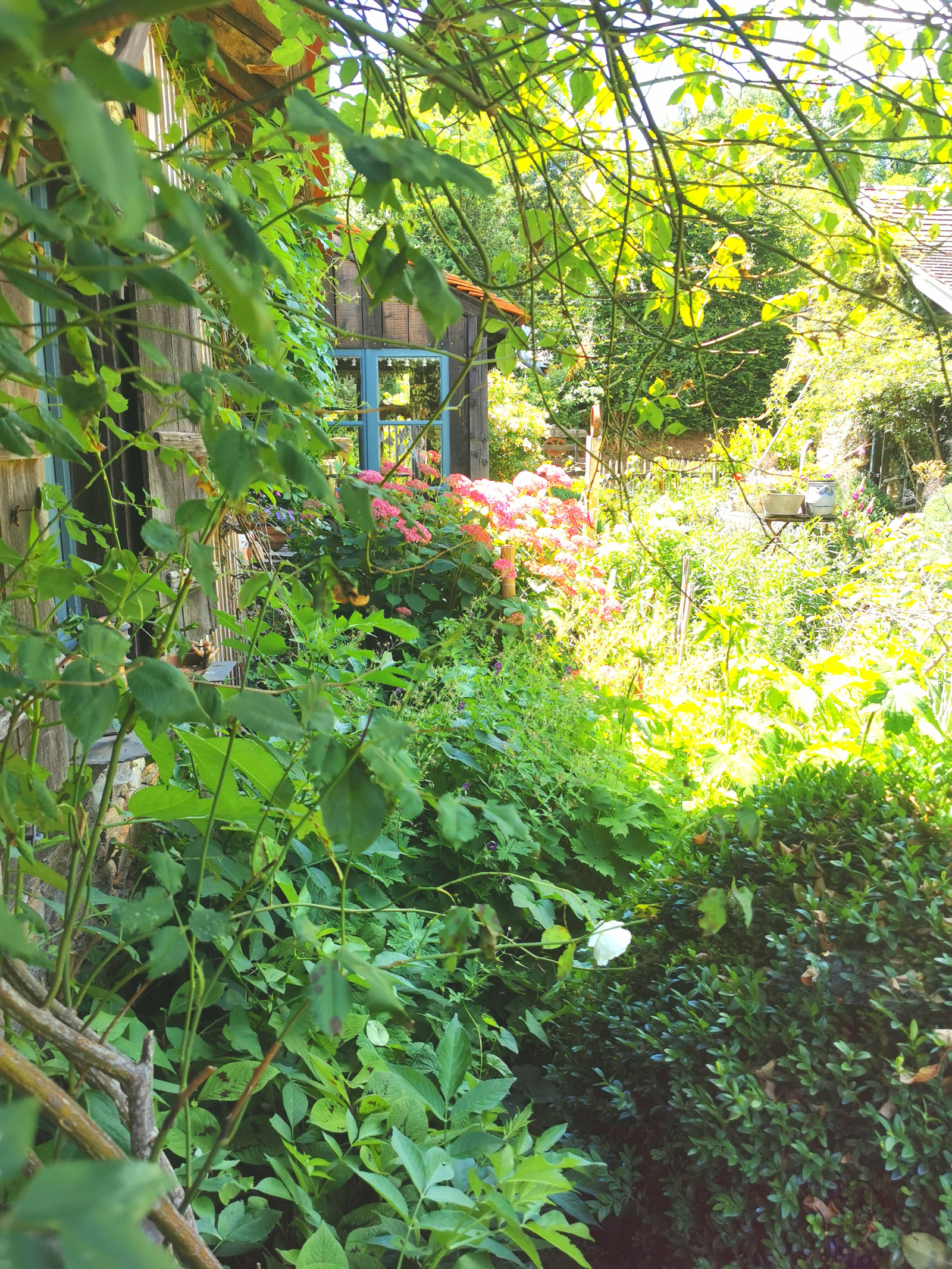 Image_15, Maison, Meuzac, ref :AB017