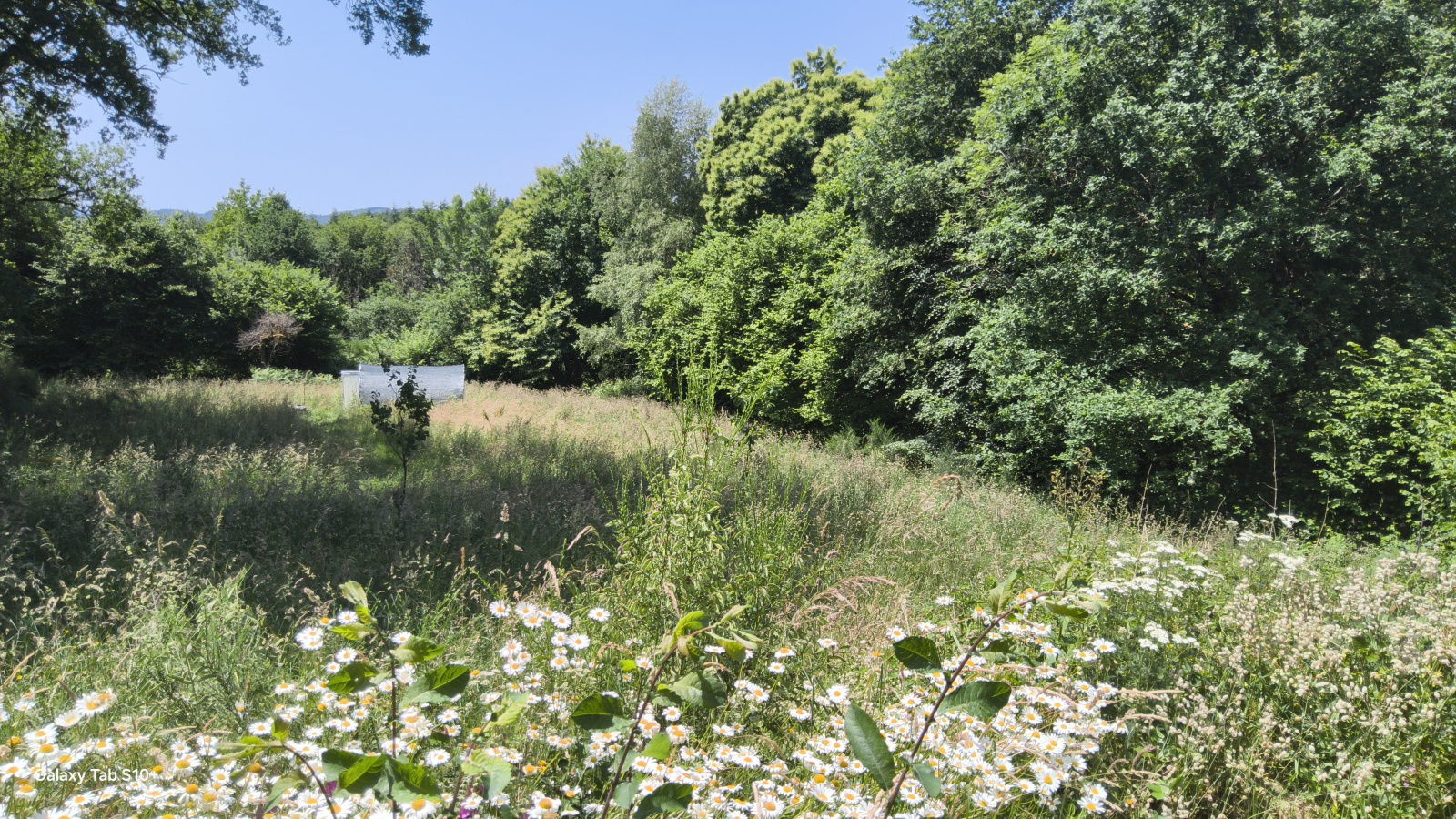 Image_3, Maison, Domps, ref :68-11