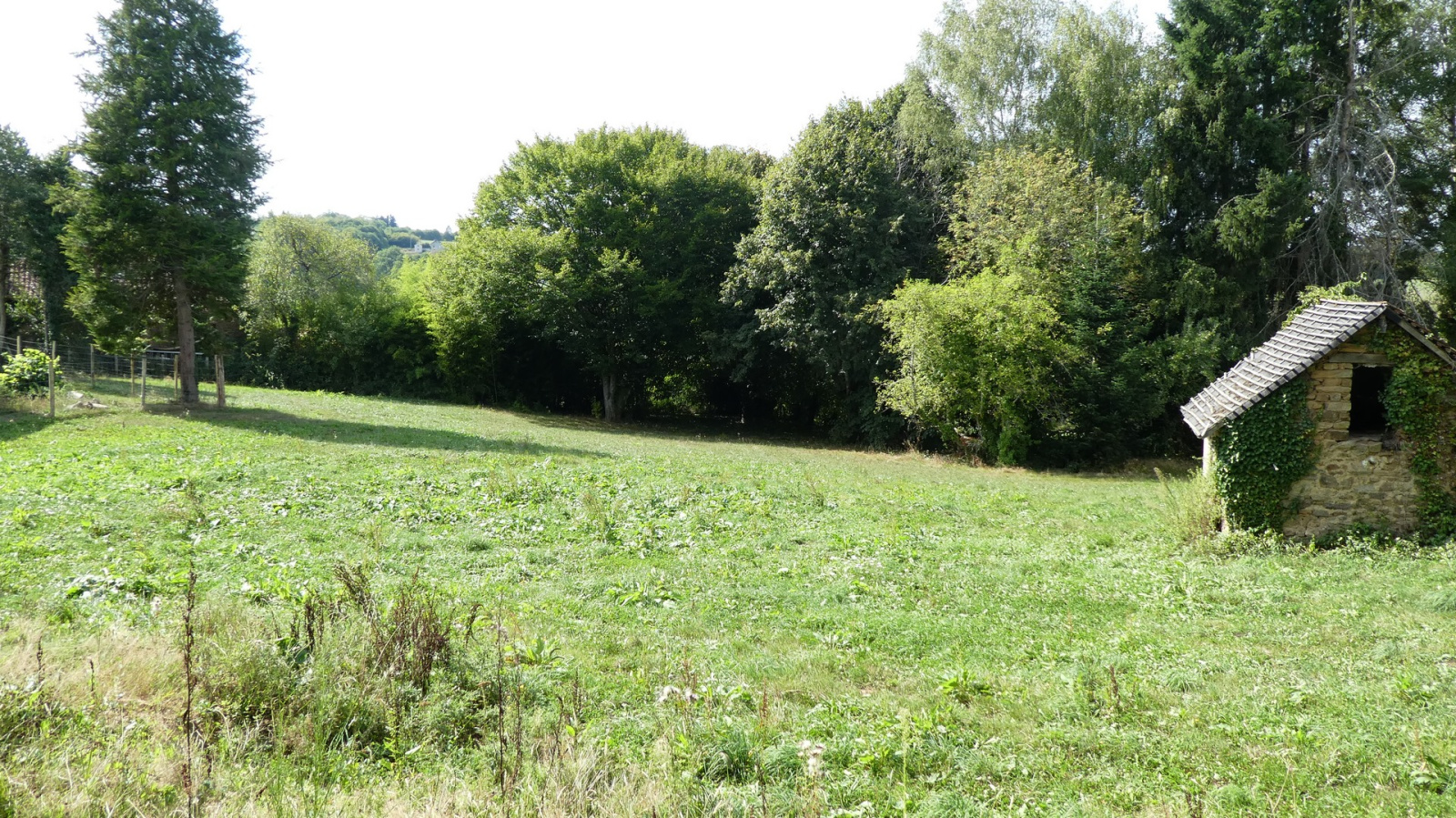 Image_2, Terrain, Châteauneuf-la-Forêt, ref :F568