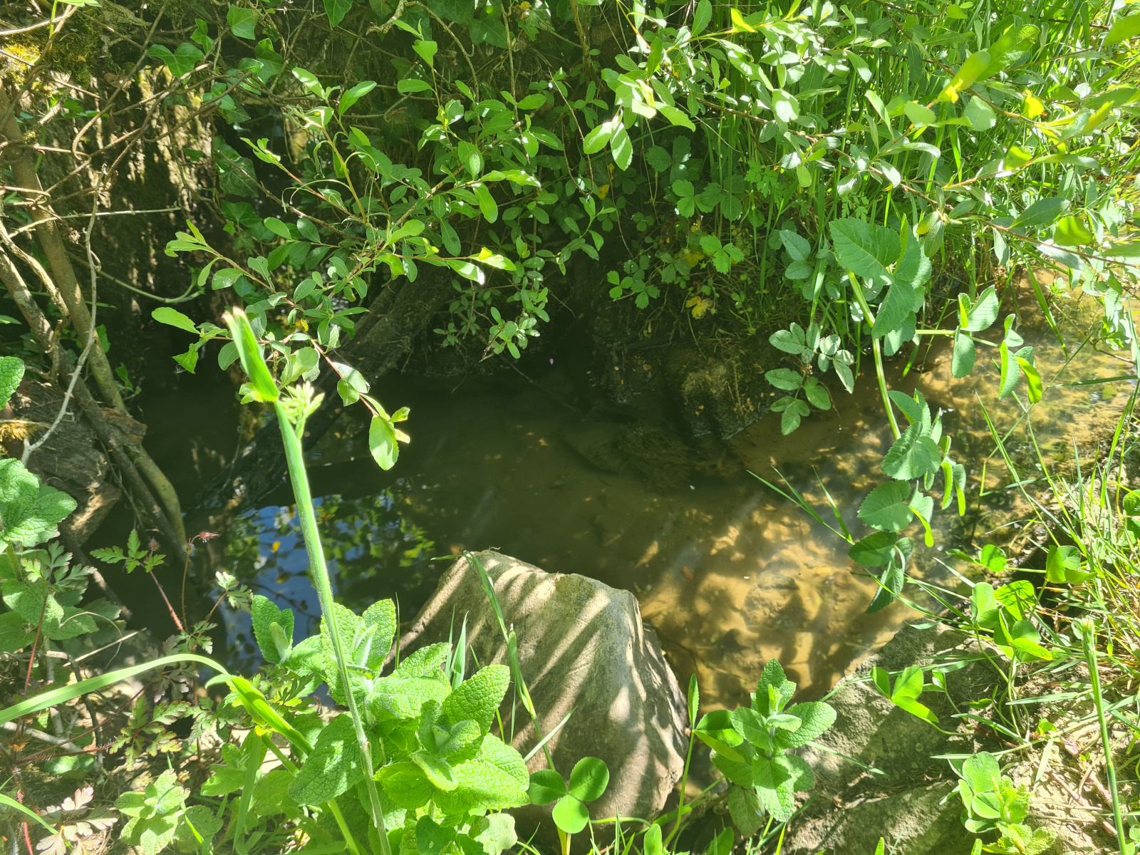 Image_17, Maison, La Porcherie, ref :c193