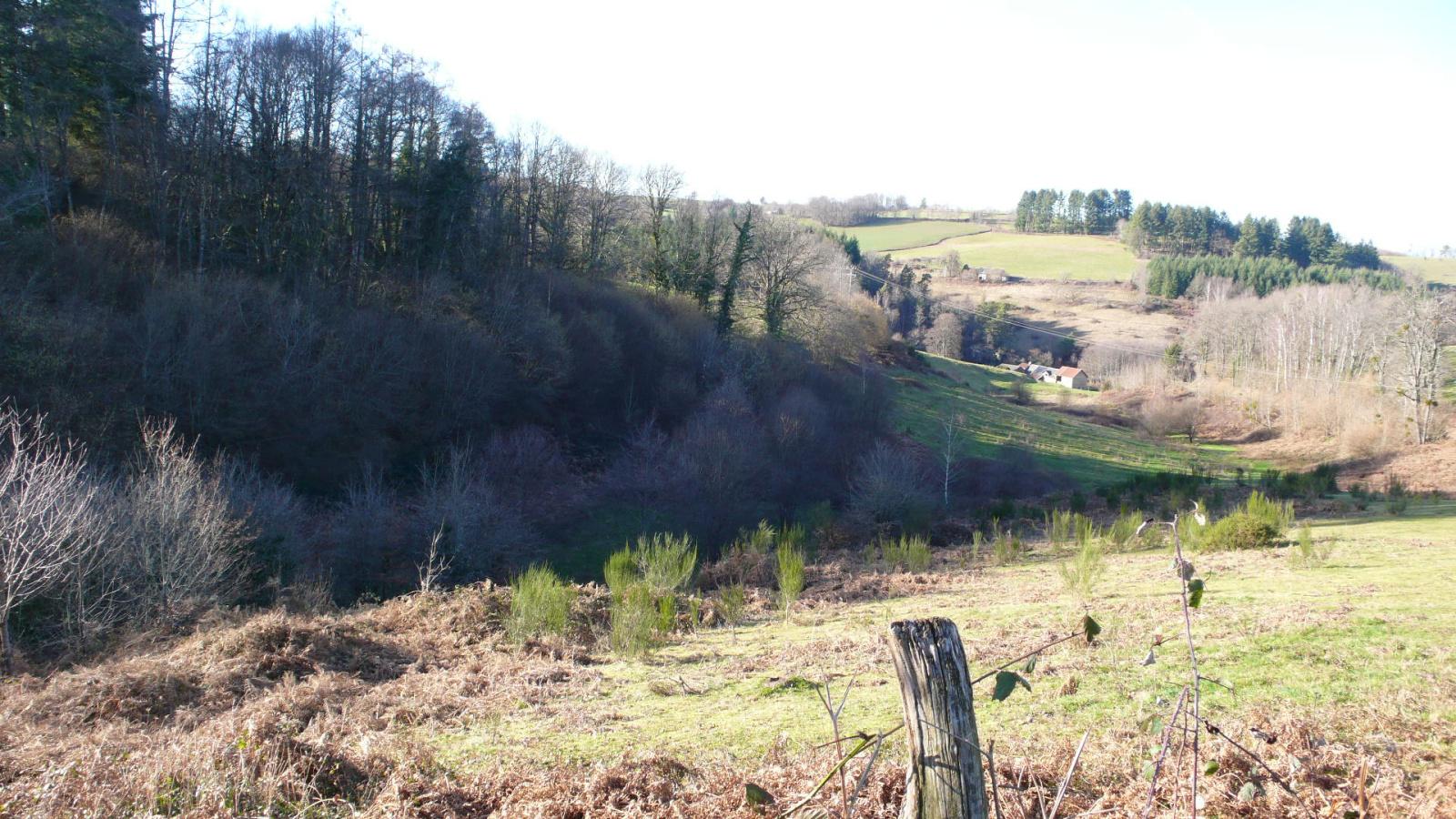 Image_8, Propriete, Sussac, ref :F494