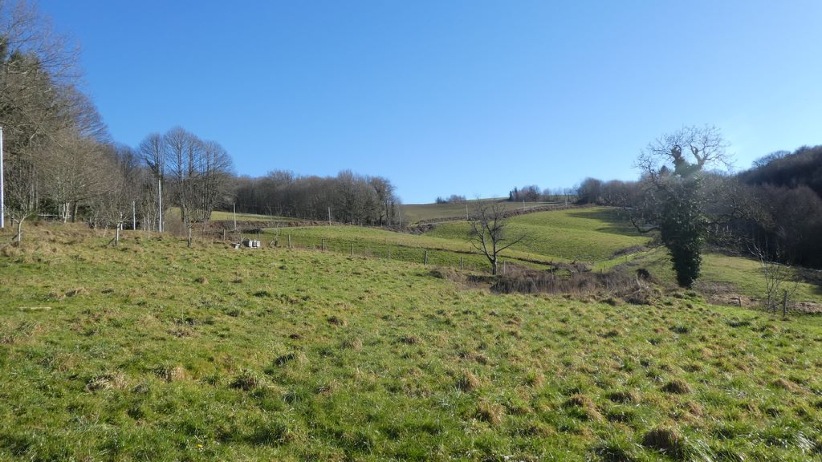 Image_2, Propriete, Sussac, ref :F494